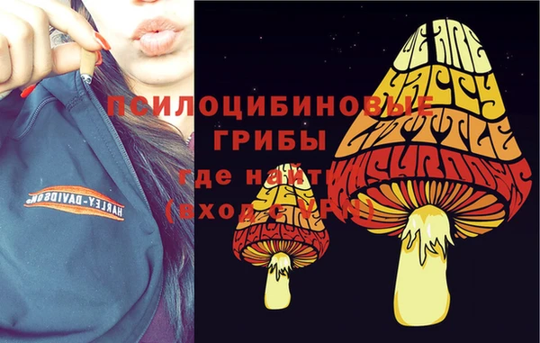 ALPHA PVP Балахна