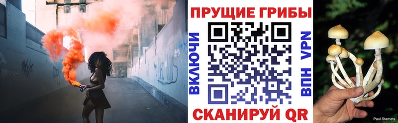 Галлюциногенные грибы прущие грибы darknet официальный сайт Белогорск