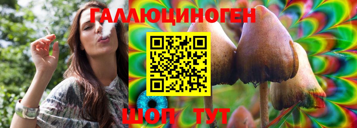Галлюциногенные грибы MAGIC MUSHROOMS  Вход с VPN  Белогорск 